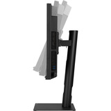 ASUS ProArt Display PA27USD, OLED-Monitor 67.3 cm (26.5 Zoll), schwarz, UltraHD/4K, Selbst-/Autokalibrierung, Thunderbolt 4, 12G-SDI, 240Hz Panel