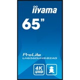 iiyama ProLite LH6560UHS-B2AG, Public Display schwarz (matt), UltraHD/4K, VA, Lautsprecher