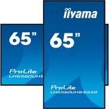 iiyama ProLite LH6560UHS-B2AG, Public Display schwarz (matt), UltraHD/4K, VA, Lautsprecher