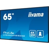 iiyama ProLite LH6560UHS-B2AG, Public Display schwarz (matt), UltraHD/4K, VA, Lautsprecher
