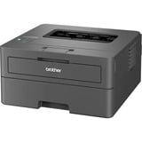 Brother HL-L2400DW, Laserdrucker dunkelgrau, USB, WLAN, Duplex (Druck)