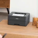 Brother HL-L2400DW, Laserdrucker dunkelgrau, USB, WLAN, Duplex (Druck)