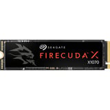 Seagate FireCuda X1070 2 TB, SSD schwarz, PCIe 4.0 x4, NVMe 1.4, M.2 2280