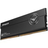 Team Group DIMM 32 GB DDR5-8000 (2x 16 GB) Dual-Kit, Arbeitsspeicher schwarz, FFXD532G8000HC38DDC01, XTREEM, INTEL XMP, AMD EXPO