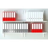 fischer Spreizdübel SX Plus 6x50 K hellgrau, 10 Stück