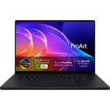 ASUS ProArt P16 (H7607BA-SE041X), Notebook schwarz, NVIDIA RTX Spark N1X, NVIDIA Blackwell RTX 6144-Core GPU, 128 GB LPDDR5X, 2 TB (2 TB SSD), Windows 11 Pro