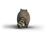 Schleich Wild Life Waschbär, Spielfigur 