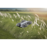 DJI Neo 2 Fly More Combo , Drohne grau, 12 Megapixel, 2-Achsen-Gimbal, inkl. 3 Akkus, Fernsteuerung und Ladegerät