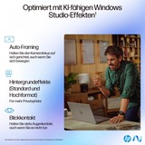 HP OmniBook Ultra 14-fd0094ng, Notebook silber, AMD Ryzen AI 9 365, AMD Radeon 880M, 16 GB LPDDR5X, 1 TB (1 TB SSD), Windows 11 Home
