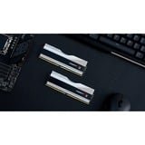 G.Skill DIMM 64 GB DDR5-6000 (2x 32 GB) Dual-Kit, Arbeitsspeicher silber, F5-6000J3040G32GX2-TZ5RS, Trident Z5 RGB, INTEL XMP