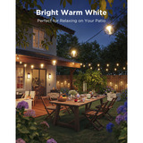 Govee Lichterketten für den Außenbereich mit transparenten Lampen 