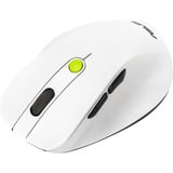 ASUS MD105, Maus weiß/grün