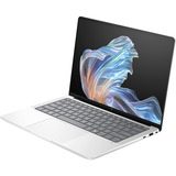 HP EliteBook X G1a (B66TFAT), Notebook silber, AMD Ryzen AI 7 PRO 360, AMD Radeon 880M, 32 GB LPDDR5X, 1 TB (1 TB SSD), Windows 11 Pro