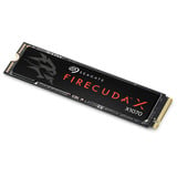 Seagate FireCuda X1070 4 TB, SSD schwarz, PCIe 4.0 x4, NVMe 1.4, M.2 2280