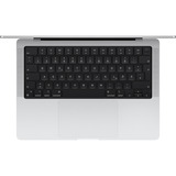 Apple MacBook Pro (14") 2024 CTO, Notebook silber, 48 GB, 2 TB (2 TB SSD), M4 Pro, MacOS, Deutsch, Nanotexturglas