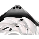SilverStone SST-FW124-ARGB 120x120x15, Gehäuselüfter schwarz/weiß, 120 mm