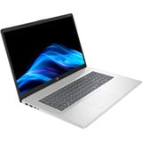 HP 17-cn4272ng, Notebook silber, Intel® Core™ 7 150U, Intel® Graphics, 16 GB DDR4, 512 GB (512 GB SSD), ohne Betriebssystem