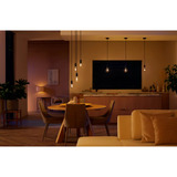 Philips Hue White Ambiance Filament Lampe E27 Giant Globe 550 lm, LED-Lampe 