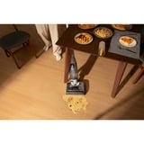Roborock F25 RT, Nass-/Trockensauger weiß