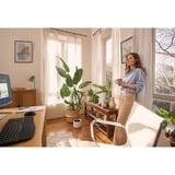 HP Poly Voyager Legend 50, Headset schwarz, Mono, USB-C, Bluetooth