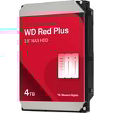 WD Red Plus NAS-Festplatte 4 TB SATA 6 Gb/s, 3,5", 24/7