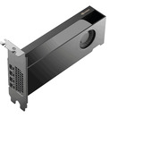 PNY NVIDIA RTX PRO 2000 Blackwell Generation 16GB PB, Grafikkarte Bulk