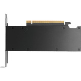 PNY NVIDIA RTX PRO 2000 Blackwell Generation 16GB PB, Grafikkarte Bulk