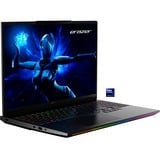 Medion ERAZER Beast 16 X1 Ultimate (MD62732), Gaming-Notebook