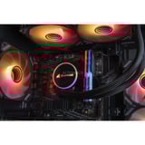 ALTERNATE Gaming-PC Special Edition • RTX 4060 • AMD Ryzen™ 5 5600 • 32 GB RAM schwarz/transparent, Windows 11 Home