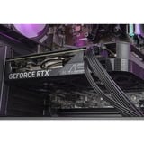 ALTERNATE Gaming-PC Special Edition • RTX 4060 • AMD Ryzen™ 5 5600 • 32 GB RAM schwarz/transparent, Windows 11 Home