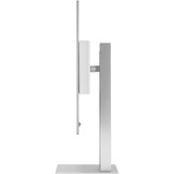 ASUS ProArt Display QD-OLED PA27UCDMR, OLED-Monitor 67.3 cm (26.5 Zoll), silber, UltraHD/4K, HDMI, DP, Thunderbolt 4, USB-Hub, 240Hz Panel