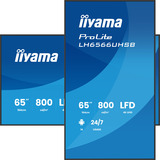 iiyama LH6566UHSB-B1AG, Public Display schwarz (matt), UltraHD/4K, VA, HDMI, USB-C