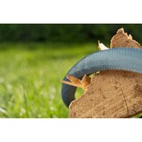 GARDENA Textilschlauch Liano Xtreme 1/2", 15 Meter Set dunkelgrau/orange, inkl. Bewässerungsbrause, 2 Hahnverbinder