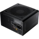 FSP ADVAN GM 850W, PC-Netzteil 1x 12-Pin High Power GPU, 4x PCIe, Kabelmanagement, 850 Watt