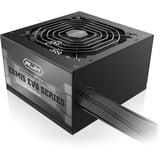 RAIJINTEK ERMIS EVO 750B, PC-Netzteil schwarz, 1x High Power GPU, 2x PCIe, 750 Watt
