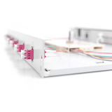 Digitus LWL Spleißbox, 1HE, bestückt, LC, OM4 grau