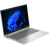 HP EliteBook 6 G2a (E02FQET), Notebook silber, AMD Ryzen 7 PRO 250, AMD Radeon 780M, 32 GB LPDDR5X, 1 TB (1 TB SSD), Windows 11 Pro