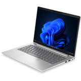 HP EliteBook 6 G2a (E02FQET), Notebook silber, AMD Ryzen 7 PRO 250, AMD Radeon 780M, 32 GB LPDDR5X, 1 TB (1 TB SSD), Windows 11 Pro