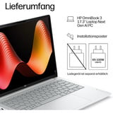 HP OmniBook 3 17-dg0050ngx, Notebook silber, Intel® Core™ Ultra 5 225U, Intel® Graphics, 8 GB DDR5, 256 GB (256 GB SSD), Windows 11 Home