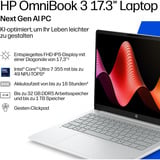 HP OmniBook 3 17-dg0050ngx, Notebook silber, Intel® Core™ Ultra 5 225U, Intel® Graphics, 8 GB DDR5, 256 GB (256 GB SSD), Windows 11 Home