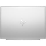 HP EliteBook 845 G11 (A26QJEA), Notebook silber, AMD Ryzen 5 8540U, AMD Radeon 740M, 16 GB DDR5, 512 GB (512 GB SSD), Windows 11 Pro