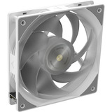RAIJINTEK Cyclops Lite 360, Wasserkühlung weiß