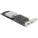 DeLOCK PCIe x8 > 2x extern USB-X 3.2 Gen 2x2 