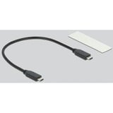 DeLOCK Externes Gehäuse M.2 PCIe mit USB 3.2 Gen 2x2 USB-C, Laufwerksgehäuse 