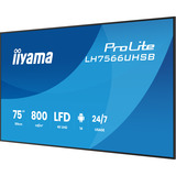 iiyama LH7566UHSB-B1AG, Public Display schwarz (matt), UltraHD/4K, VA, HDMI, USB-C