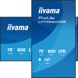 iiyama LH7566UHSB-B1AG, Public Display schwarz (matt), UltraHD/4K, VA, HDMI, USB-C