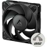 ARCTIC P12 Pro PST LN, Gehäuselüfter schwarz, 5er Pack, 120 mm