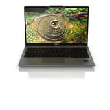 Fujitsu LIFEBOOK U7412 Generalüberholt, Notebook silber, Intel® Core™ i7-1270P, Intel® Iris® Xe Graphics, 16 GB DDR4, 512 GB (512 GB SSD), Windows 11 Pro