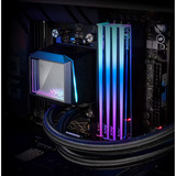 ADATA DIMM 16 GB DDR5-5600, Arbeitsspeicher schwarz, AX5U5600C4616G-CNKRBK, XPG NOVAKEY RGB Black, INTEL XMP, AMD EXPO