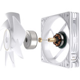ASUS ProArt PF120, Gehäuselüfter weiß, 120 mm